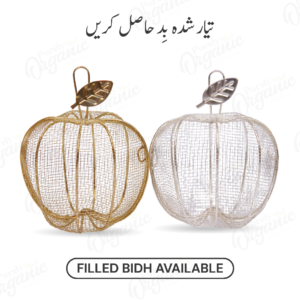 Apple Style Metal Filled Bidh Box